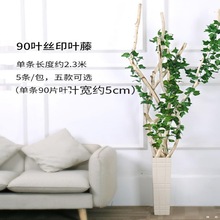 G~ٻֲGֲ늾쾰~҃ϻٗlb