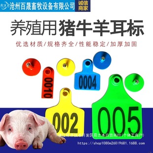 �iţ����߶��ˏS�����l �F�ü��⎧�ֶ�����  �Bֳ���÷��߶���