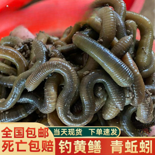 �����]������������򾴹��~�D������������S�X���Ӱ��