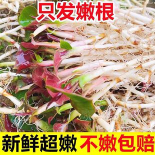 �~�Ȳ��۶���5����ѿ��������F���خa�����Ĵ������Ұ�����l