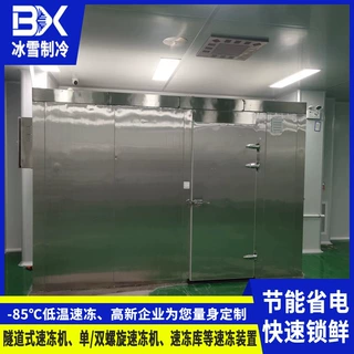 小型速冻库 食品速冻 各规格速冻库 选【广东冰雪】为您免费设计