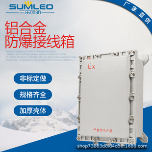 BXJ explosion-proof distribution box junction box instrument control cabinet lighting switch power distribution cabinet junction box explosion-proof box