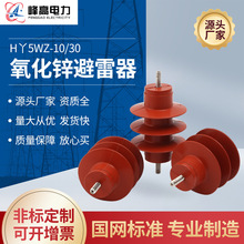 10KV高壓一體式氧化鋅避雷器HY5WZ_10/30防雷器復合絕緣櫃內支柱