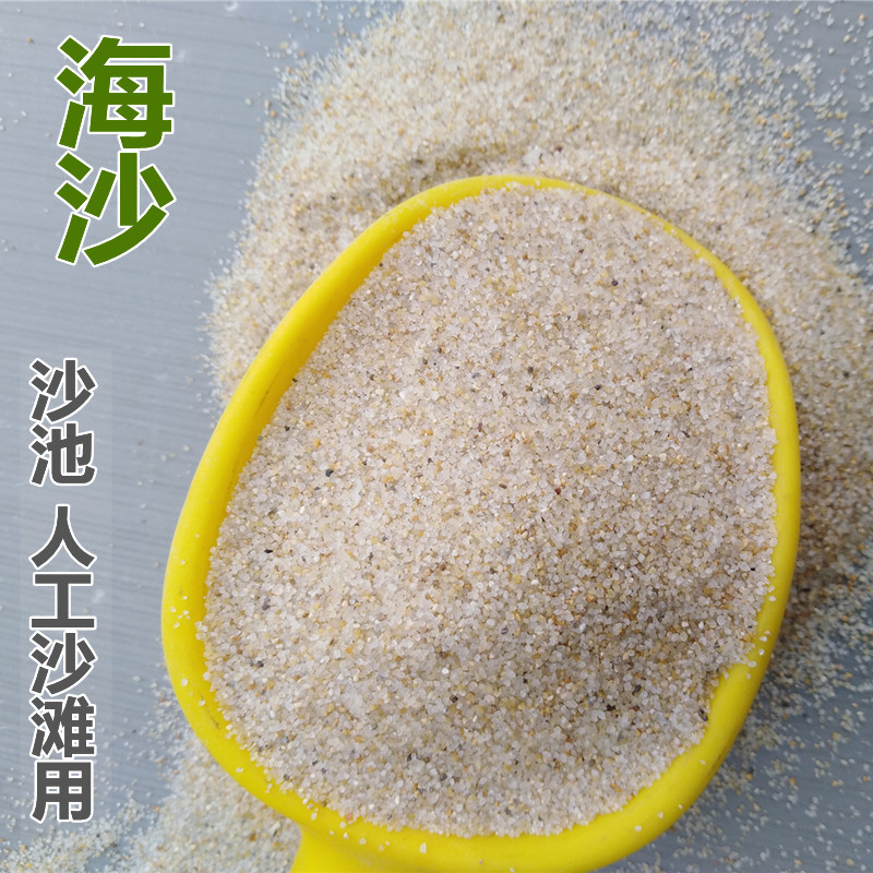 细沙室外游乐场用圆粒海沙玩具沙池沙30-50目沙滩马场填充白沙