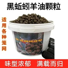 ��������ͺ��w���r�\���~�W�\�S�X�T�Dץ���r���r���q�S�X�~�D��