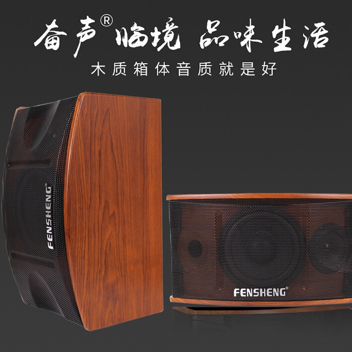 Fen Sheng/Card Package Speaker Home KTV Passive Sound 6 Inch 8 Inch 10 Inch Dance Training Conference Room Commercial Speaker