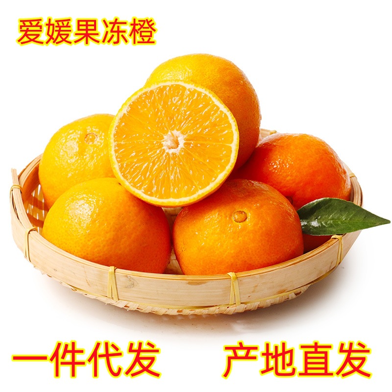 爱媛38号果冻橙子果园直发一件代发现摘现发四川眉山爱媛橙果冻橙