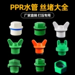 ppr水管堵头管帽4分20塑料外丝堵帽丝堵6分25打压配件32内丝皮圈