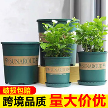 �����ǿ羳ֱ��ŷ�����ϻ����ھ���֬����������ֲ����Ӻ�����