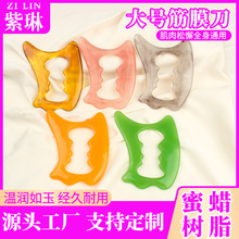 ��֬�๦�ܽ�Ĥ����Ħ�ܽ����������cѨߦ�����ȫ�����jͨ��