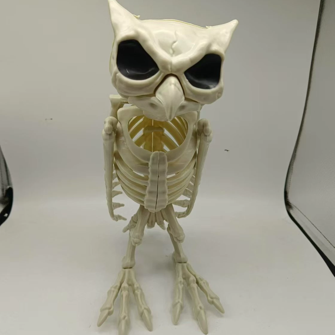 Realistic skeleton, halloween, owl