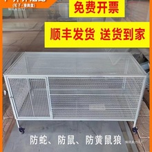 u\FzWش̖SǷӲPgBֳܻ\