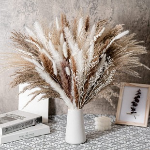 Yunnan Manufacturer Amazon Small Reed Dried Flower Bouquet Small Whisk Small Pampas Grass Reed Bouquet Rabbit Tail Grass Dried Flower