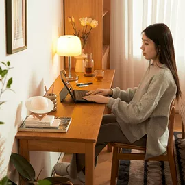 电脑桌;衣柜;电视柜