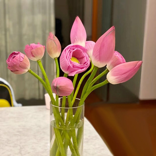 �ΰ�ɻ��r����������r�����lɏ���л��廨�����廨ˮ�B��������