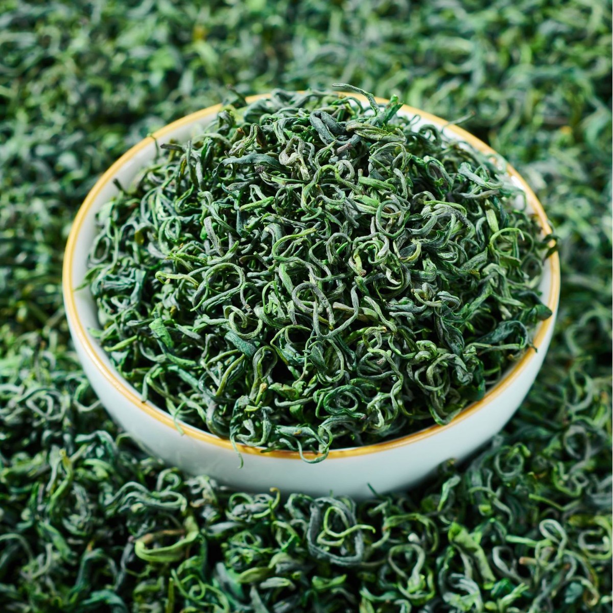 贵州高山云雾绿茶2025新茶毛峰茶炒青日照春茶浓香型茶叶散装