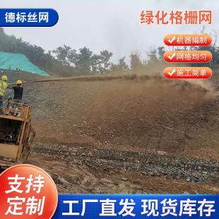 Spray Plastering and Hanging Net for Soil Spraying and Grass Planting, Slope Greening, Wire Mesh for Re-Greening and Grass Planting, Slope Protection Spray Plastering and Hanging Net