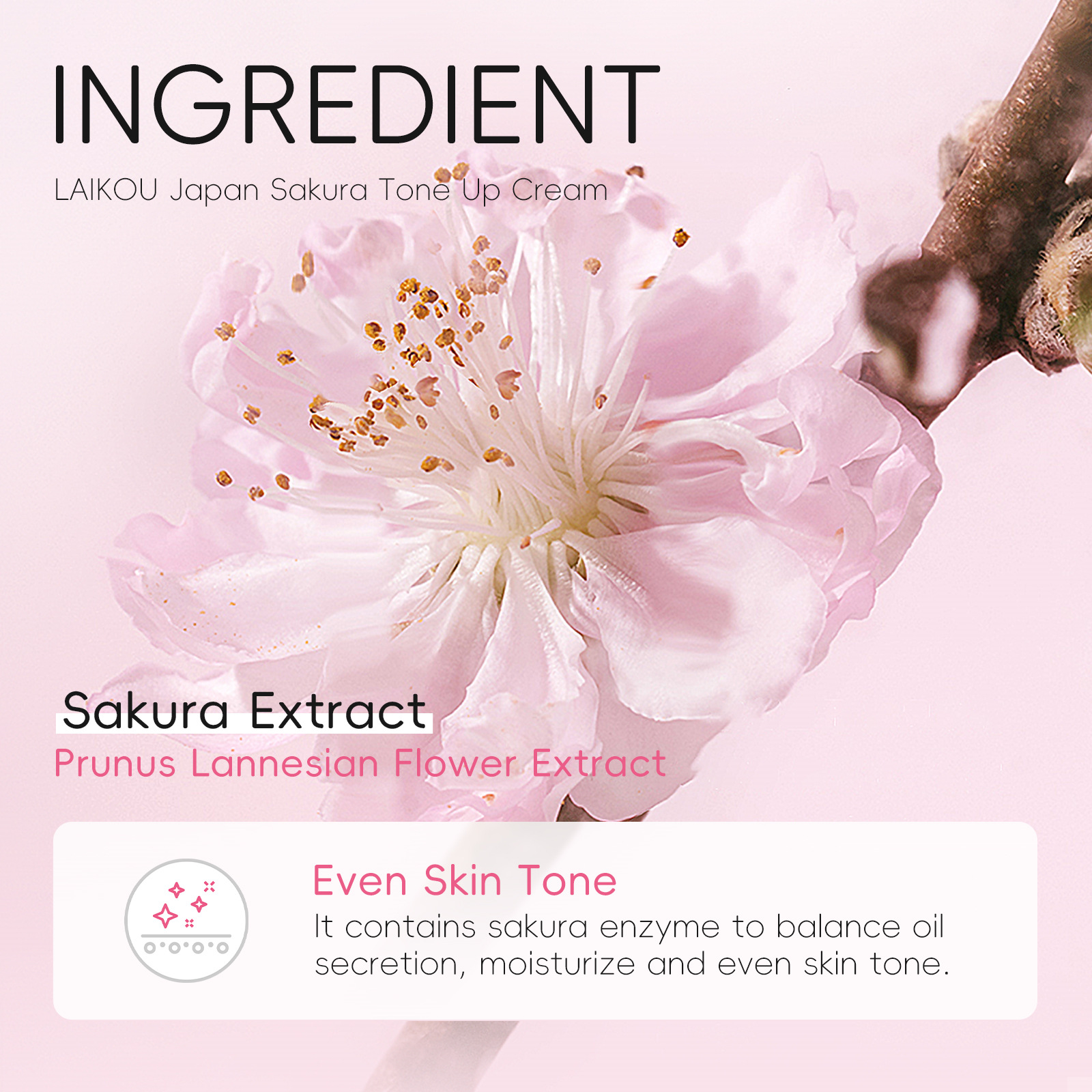 LAIKOU Sakura Natural Cream 30g Skin Care and Cosmetic Moisturizing, Hydrating, Hydrating and Beautifying Lazy Person's Face cream undefined