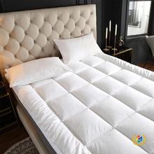 ?�Ƶ����w���o�|�e�^�|���޴��|�����|�ӾƵ겼�ݴ�����