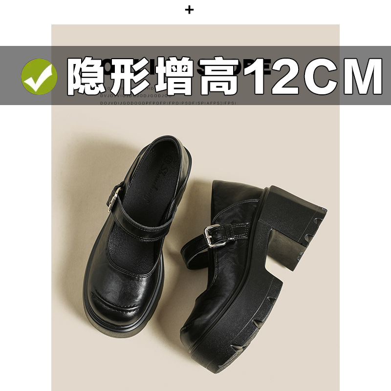 Inner Height Height Thick-soled Mary Jane Women's Shoes 2025 Spring New Black Round-toe Small Leather Shoes All-match Single Shoes