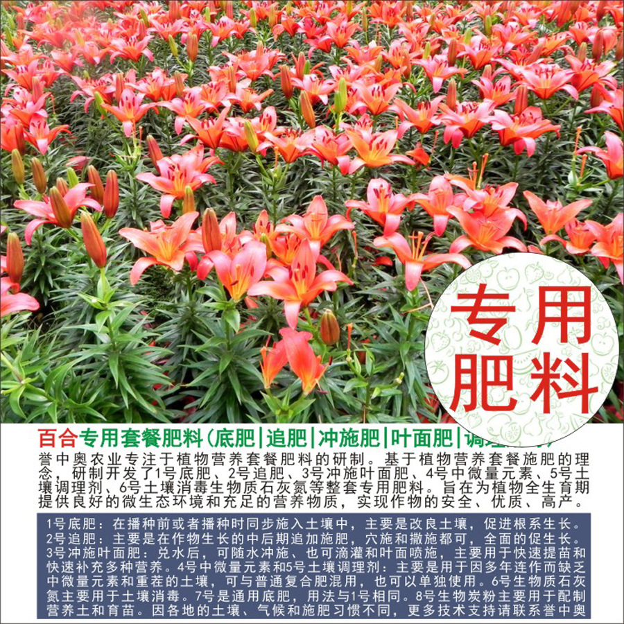 1-50斤誉中奥百合专用有机肥复合肥底肥追肥叶面肥冲施肥水溶肥