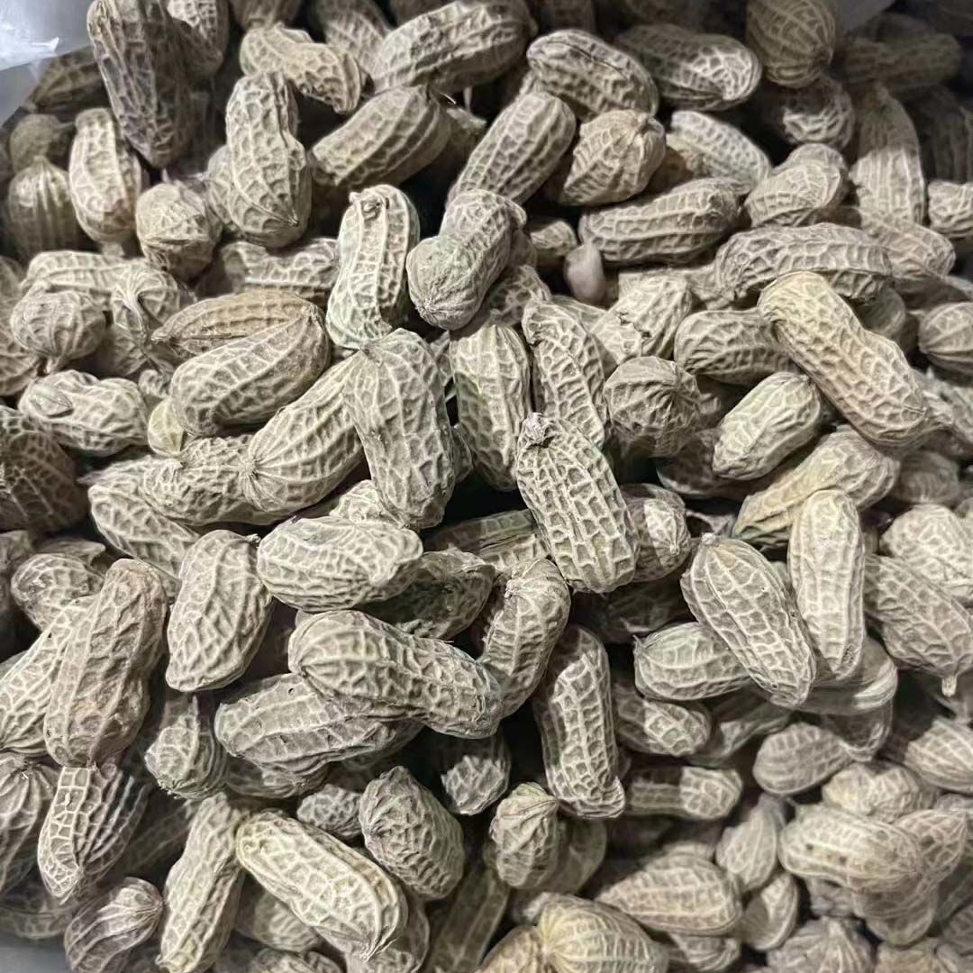 河源水煮晒干咸干花生熟盐咸味客家零食特产软口七八干没燥剂工厂