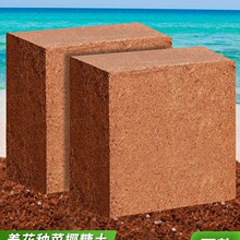 �M��Ҭ�u��ͨ���͠I�BÓ�}���ԷNֲ�����N�˷N��Ҭ���@ˇ