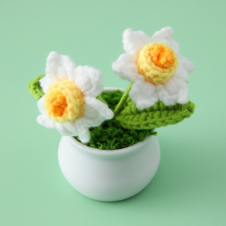 [완성된 작은 흰색 대야] 양방향 흰색 수선화