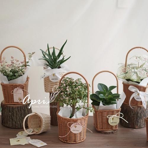 Iron style retro pastoral style hand-woven hand-woven flower basket flowers and green plants picnic storage basket