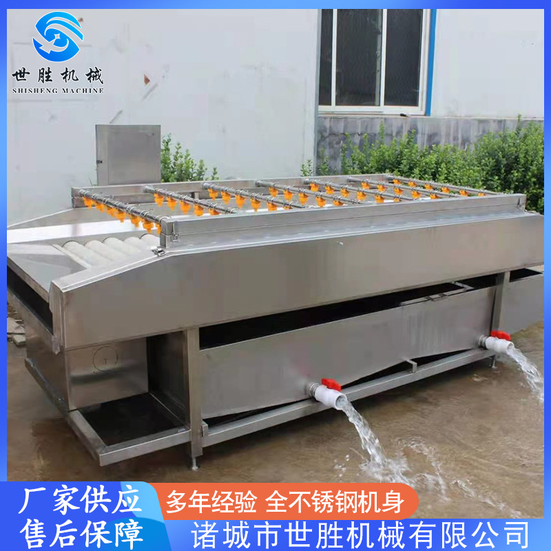 供应自动化粽叶清洗机设备 芦苇叶清洗机设备 荷叶清洗机设备