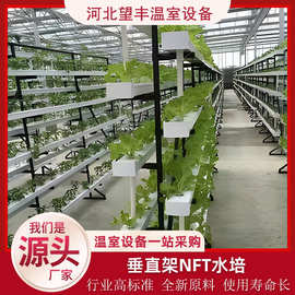 无土栽培果蔬栽培架水培设备温室大棚垂直NFT循环立体水陪种植槽