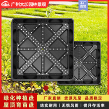 屋顶绿化正方形花盆托盘模块式育苗盘花园绿化佛甲草种植方盘厂家