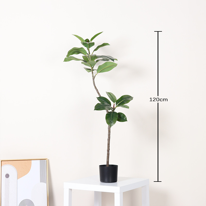 Ficus de hoja verde-120cm