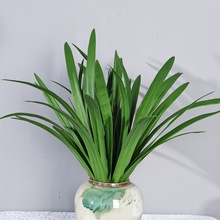 ���愦�m�~ޥ�m�~�Gֲ�ָ�ܛ�z��ݲ廨�̨�@ˇ���m�b�����ٻ�