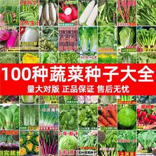 ���ѷN��ȫ�ļ��߲˺��}���۲���������˲��˽����˴�ײ˷N��