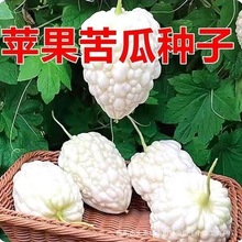 ���O�������̨���O����ϷN�����Բ�������߲˸���ˮ����ϷN