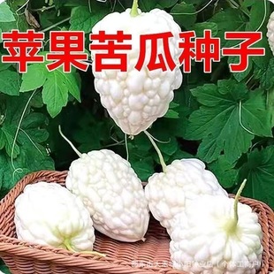 ���O�������̨���O����ϷN�����Բ�������߲˸���ˮ����ϷN