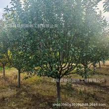 �k�����Ę����������Ĵ�С�~���z���ı��������F�����ĺ�������