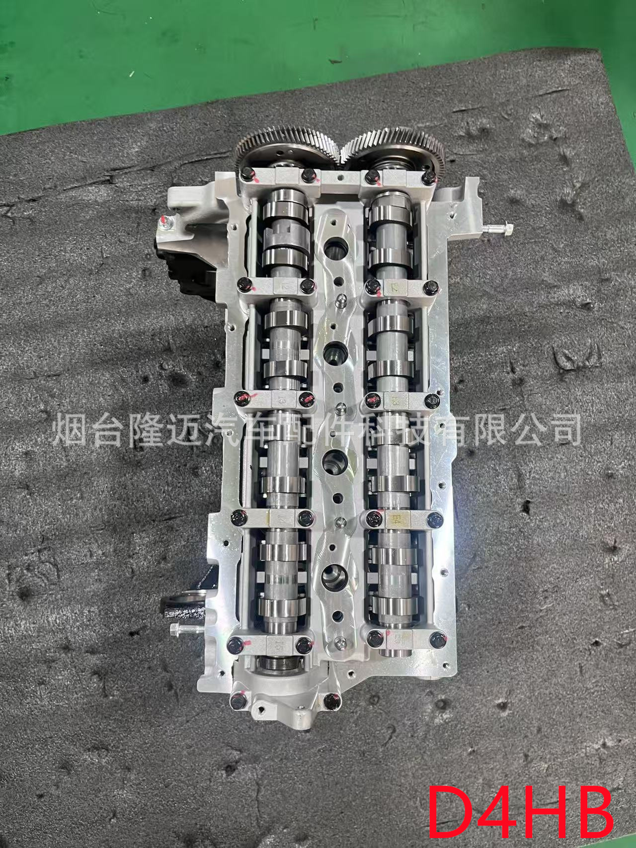 Modern Diesel Engine D4Hb 2.2t Displacement Suitable for Hyundai Sorento Engine