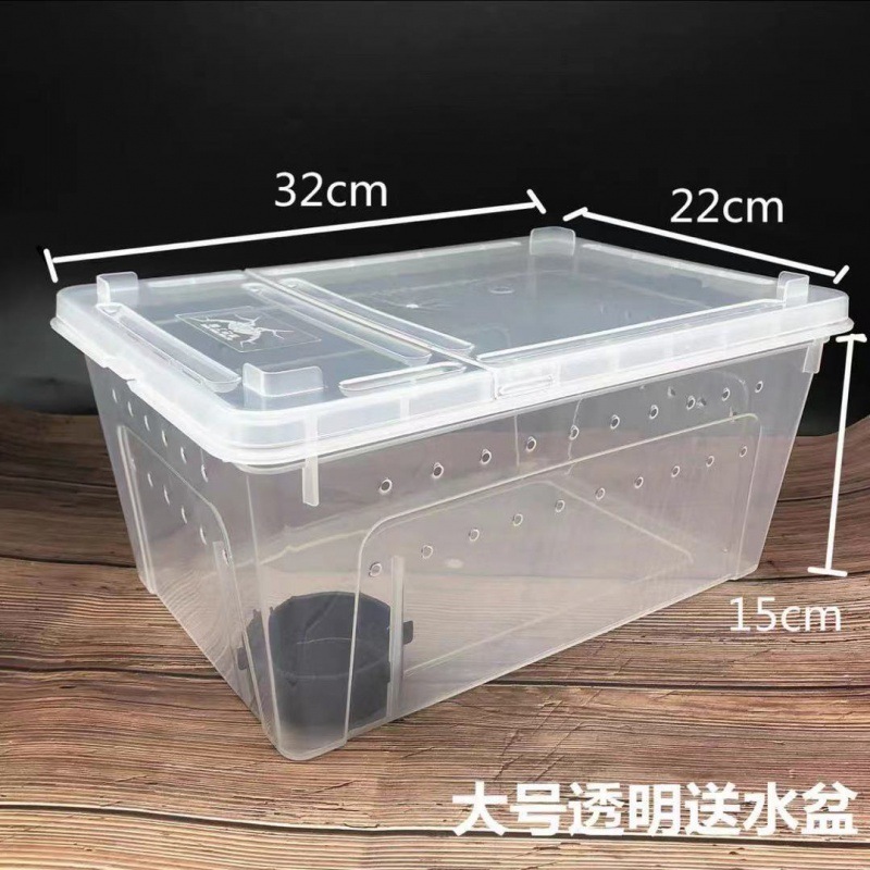 寄居蟹专用饲养爬宠饲养盒昆虫观察盒新手套装饲养缸寄居蟹套餐|undefined
