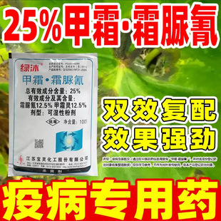 25%��˪˪���蚢���������߲�������Ʒ�rș��˪�`˪����G��