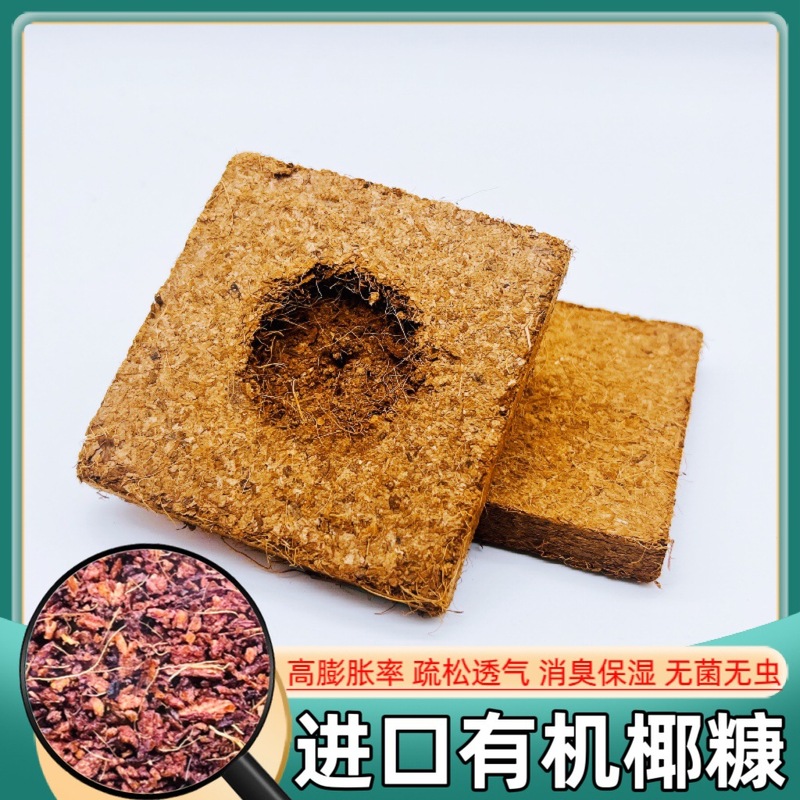 寄居蟹专用进口有机椰糠椰砖小颗粒保湿不易染色爬宠垫材蜕皮椰土|undefined