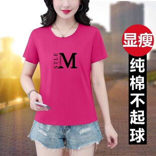 õ�t���޶���t��Ů������2026�¿����ꋌ���������ٴ�A�I����