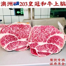 ����203��Ѫ��ţ�ʹ����X��ţ�Ż��ţ����ţ���圫��ʽԭ���M��