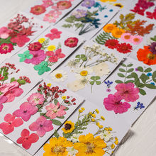 �ɻ����������ֹ�diy���ϰ�ֲ��˱����zѺ����Y�N������b�Ʒ