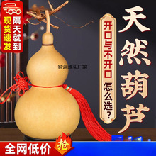 天然葫芦挂件真胡芦灸中国结吉祥开口门对门客厅玄关摆件大号文玩