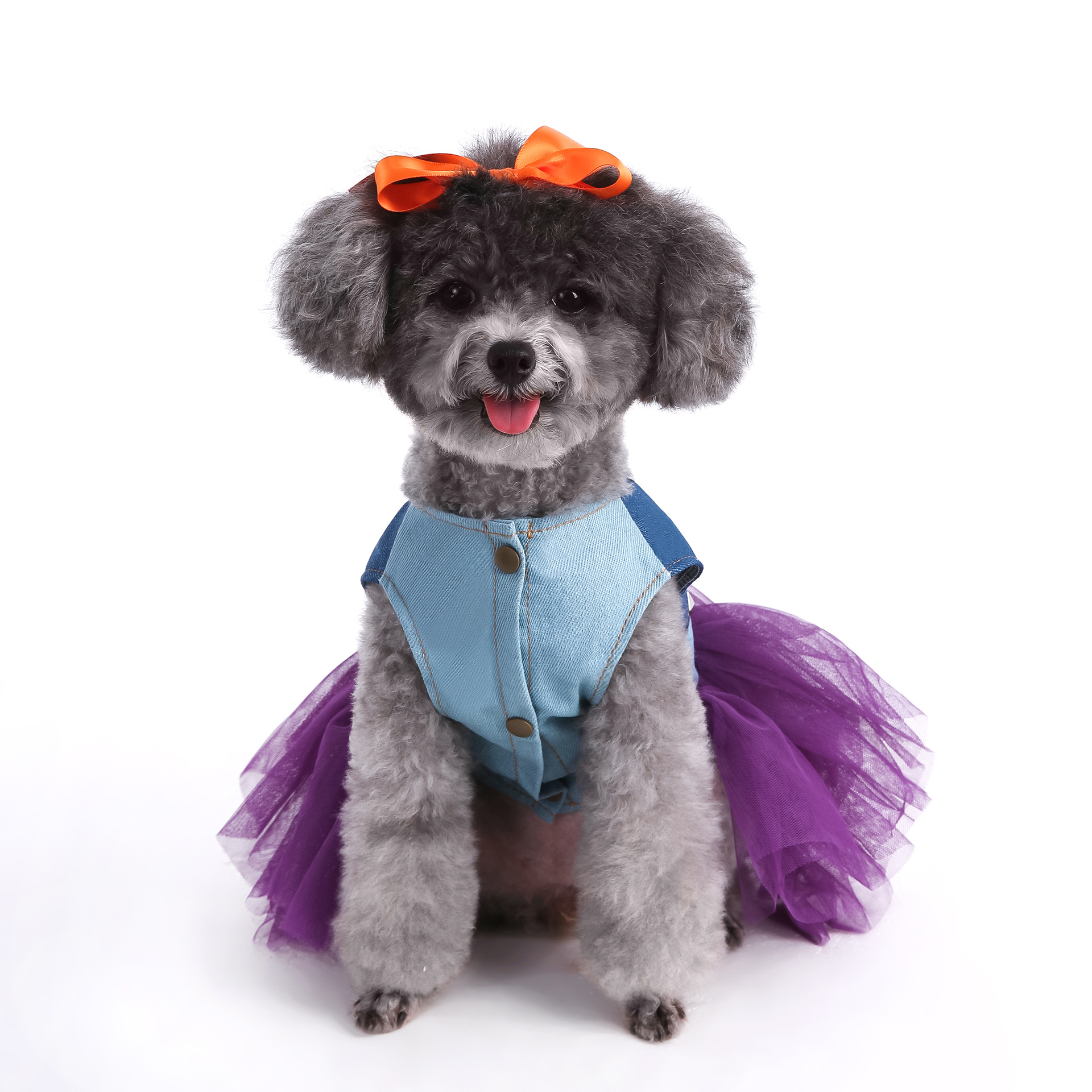 Otoño y invierno Halloween ropa de mascotas ropa de perro ropa de gato ropa de ropa casual ropa de calabaza curiosa image 4