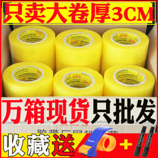 ����͸���z�����l�Ӻ��z�l6cm���������b�z�����f����z�����
