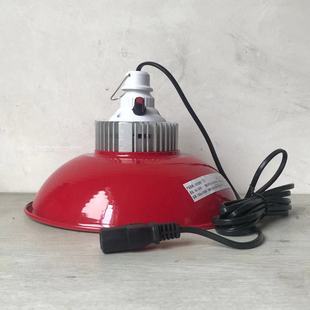 Ll220V to 12V24V85V Night Market Stall Lamp Plug Household Power Converter Battery Electric Vehicle Led Fresh Food