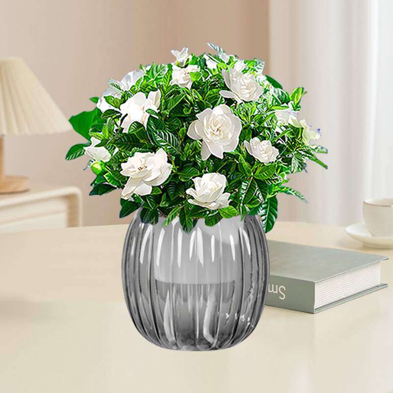 치자나무(회색 호박 자동 흡수통)